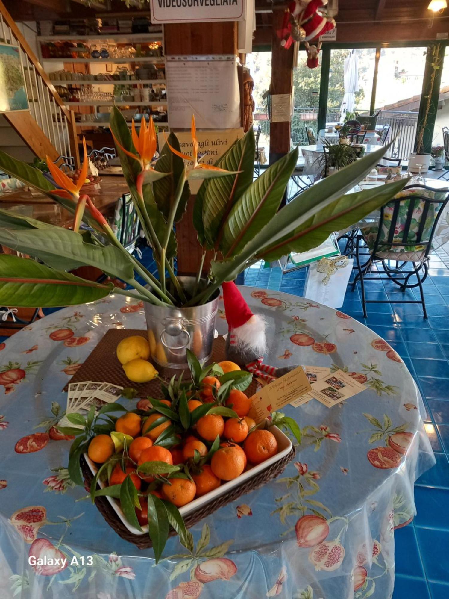 Il Rifugio Di Artemide Agriturismo Villa Perinaldo Buitenkant foto